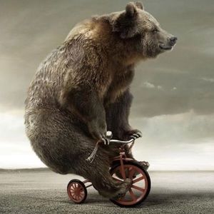 Meet your Posher, Shaye